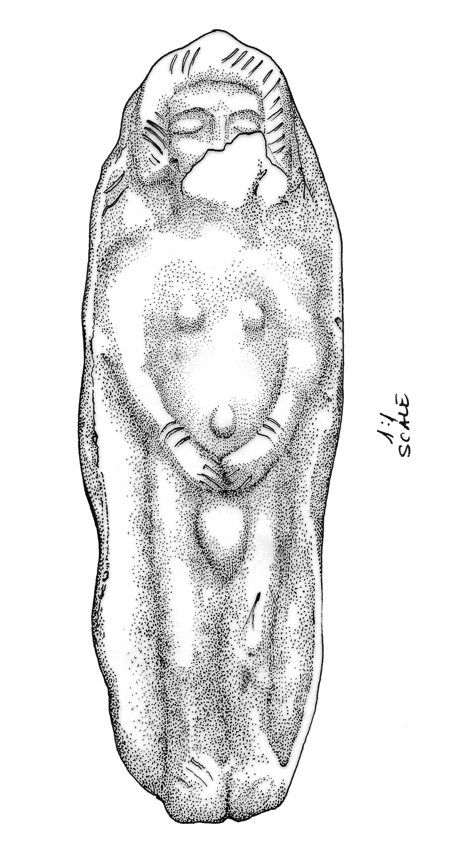 Frontal view drawing of figurine of pregnant woman cradling belly.