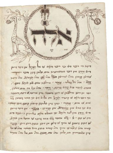 Manuscript page of drawings of bird and plants on top and Yiddish text below. 