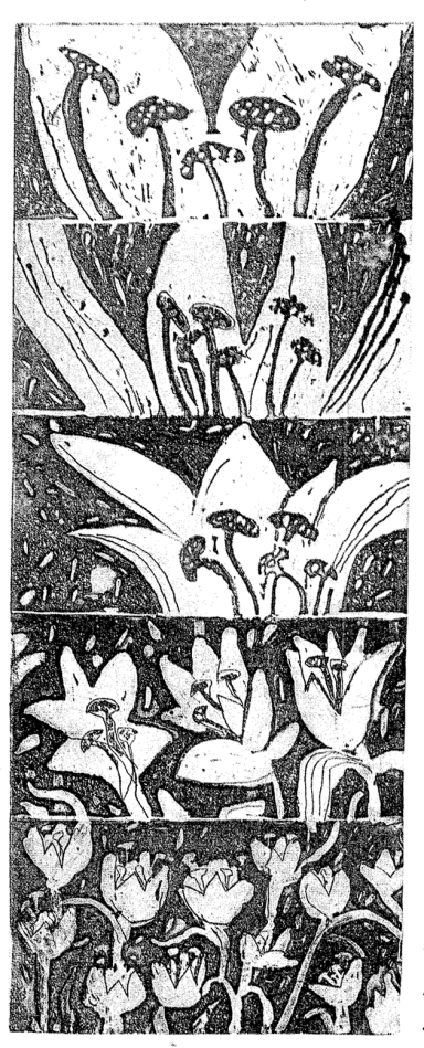 Five drawings of flowers arranged in horizontal panels. 