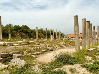 Ruins of an ancient structure with several tall stone columns surrounded by grassy ground and scattered stone blocks, with trees and a building in the background.