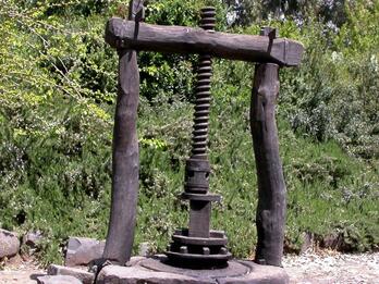 Old wooden olive press with a large vertical screw, set outdoors on a stone base surrounded by trees and greenery.
