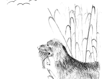 Drawing of dog in marsh holding animal in their jaws. 