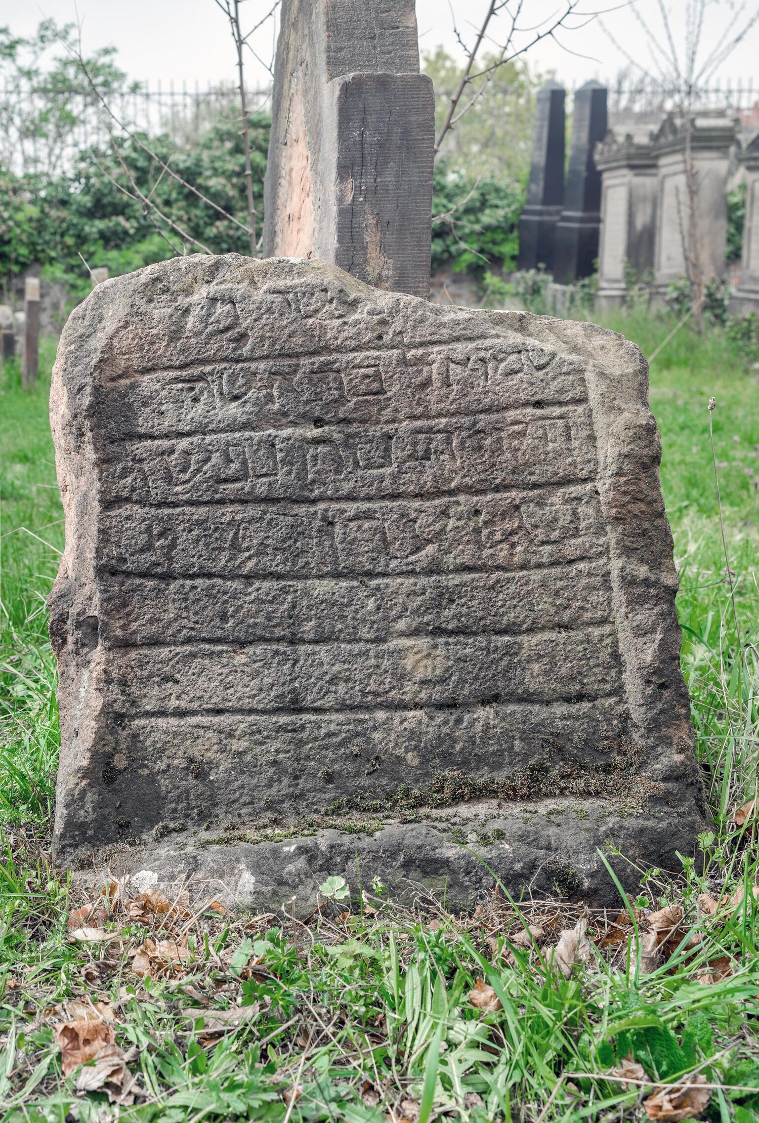Photo of a weathered, broken gravestone in a cemetery, with seven delineated spaces, four of which contain Hebrew inscriptions.