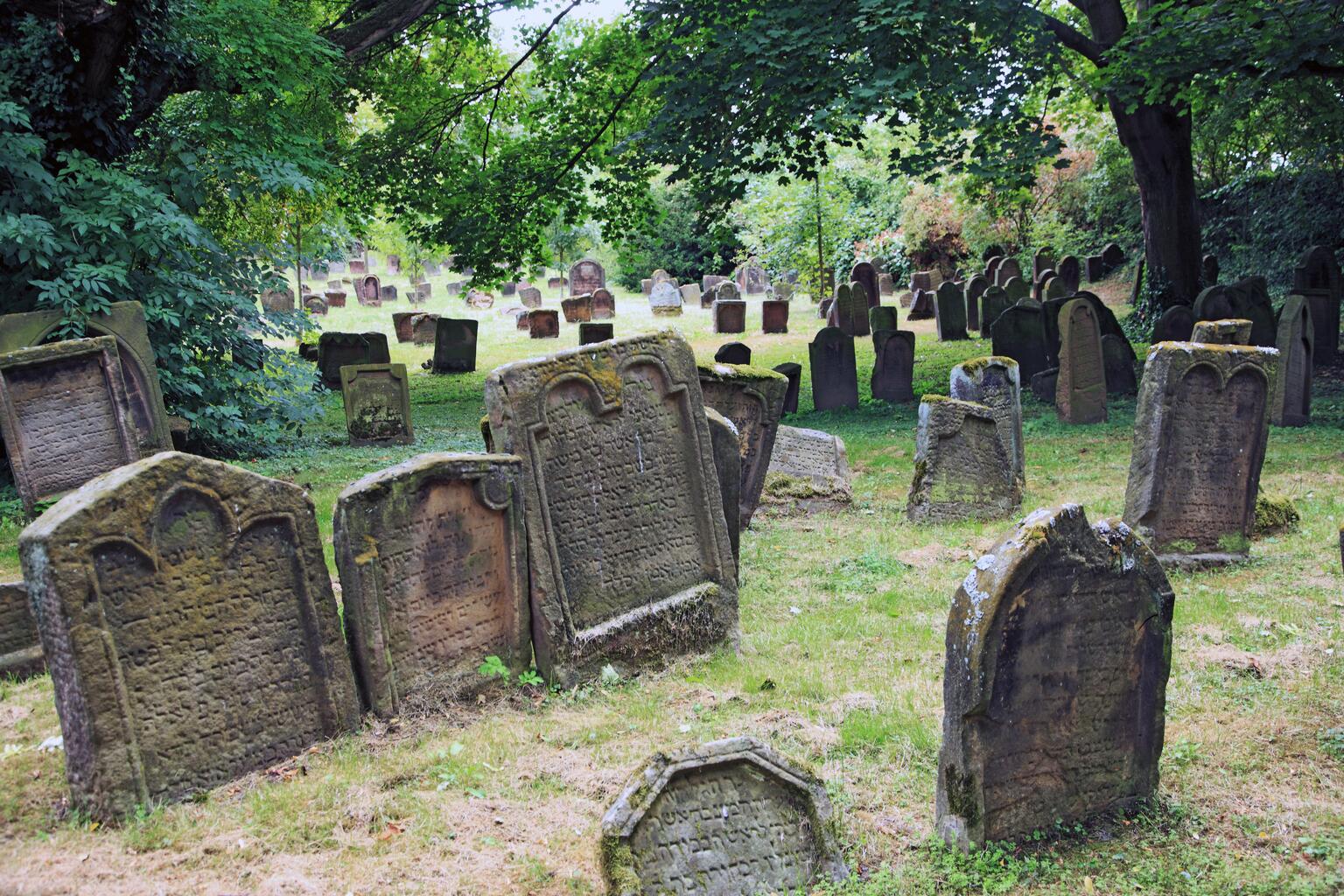 Photo of a cemetery in which many weathered gravestones of varying shapes and sizes stand closely together and are inscribed with framed Hebrew text.
