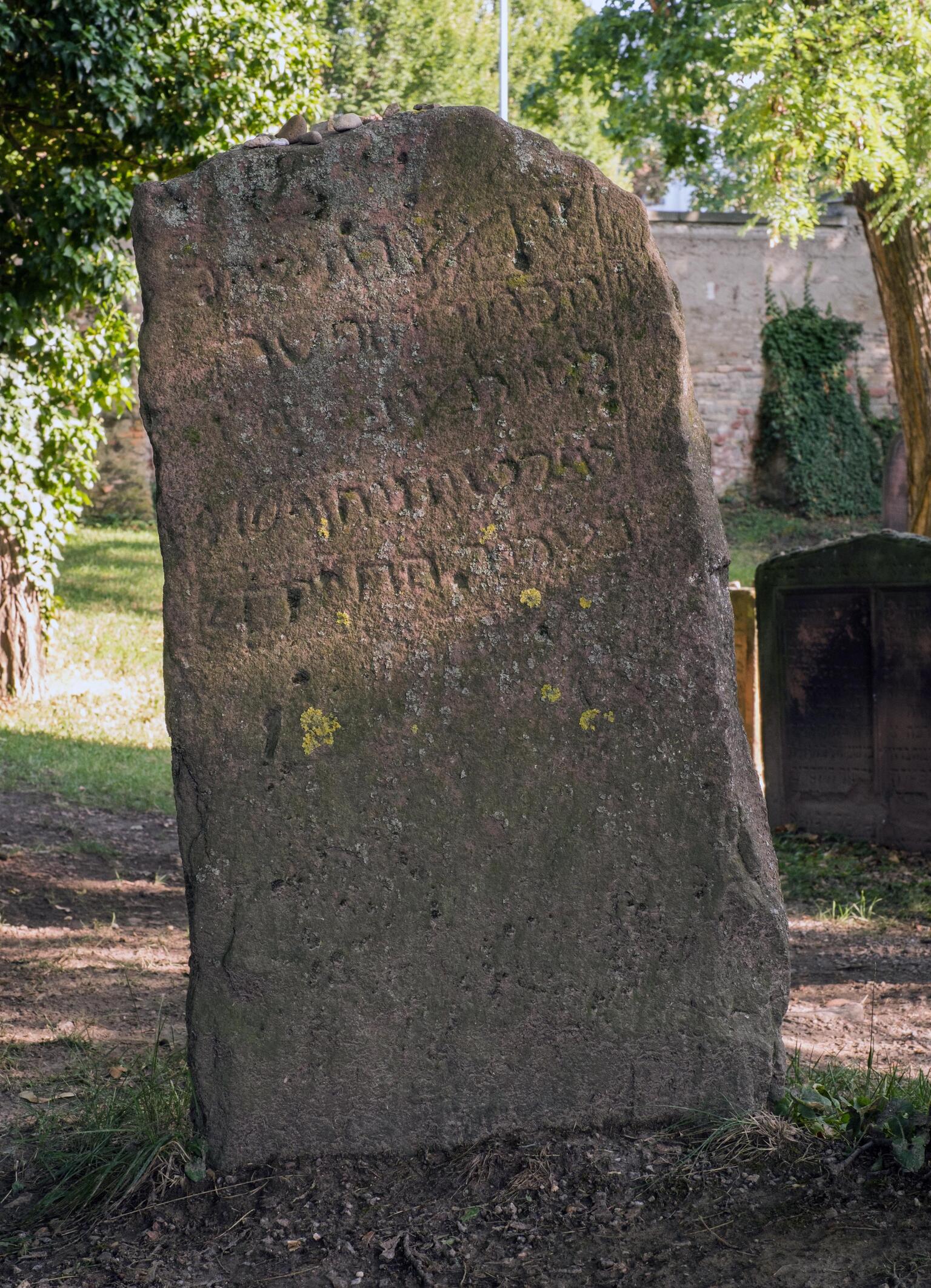 Photo of a severly weathered rectangular gravestone standing upright in a cemetery, with five lines of delineated Hebrew inscription on the top half.