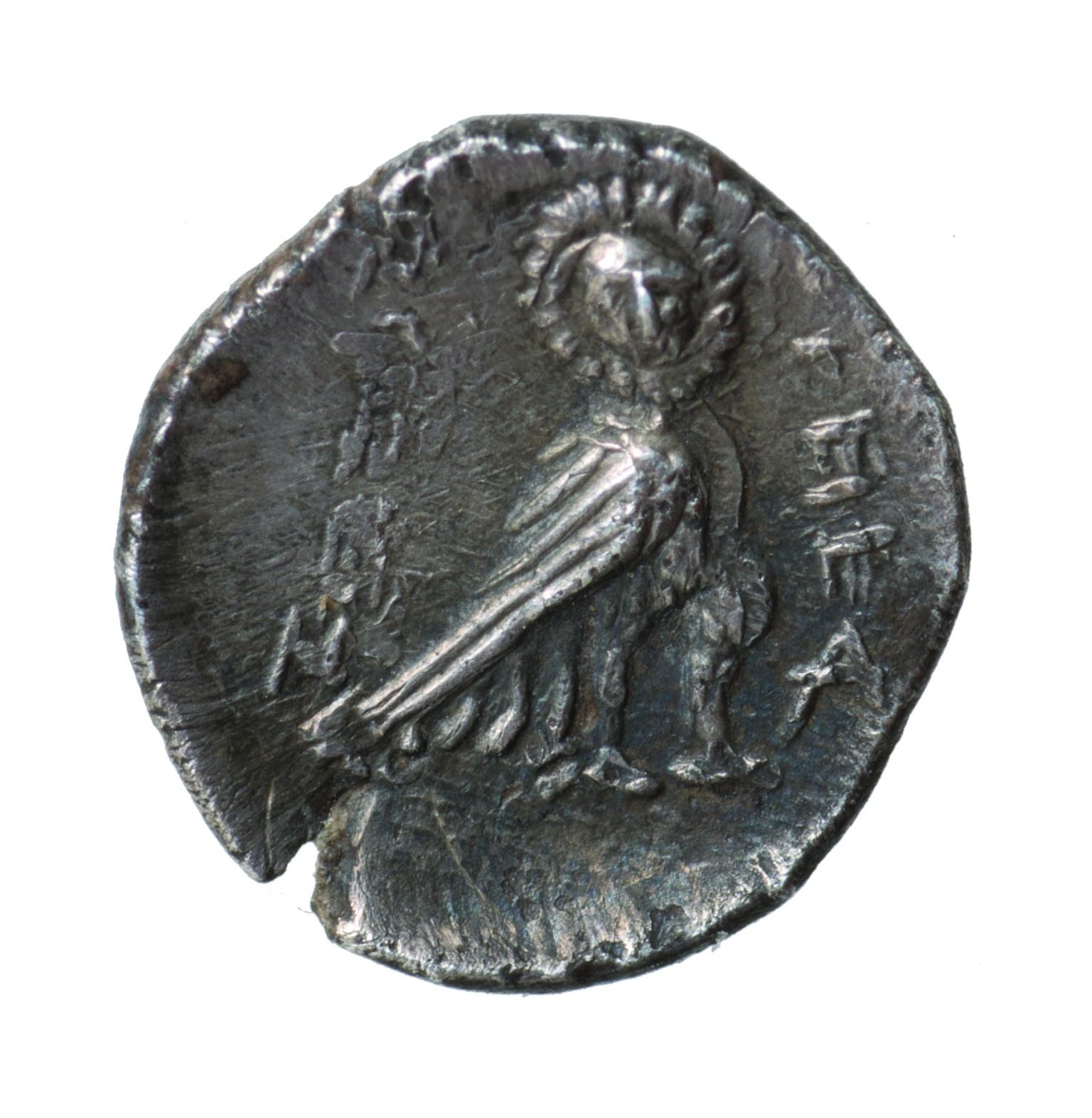 Coin with image of owl with body facing right and face turned towards the viewer and Hebrew inscription.