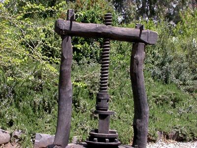 Old wooden olive press with a large vertical screw, set outdoors on a stone base surrounded by trees and greenery.