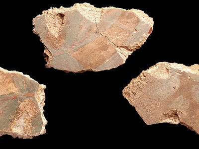 Three irregular fragments of ancient wall plaster with faded traces of painted designs.