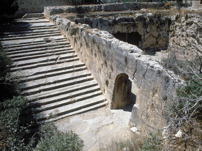 Ancient stone steps leading down to a rock-cut tomb entrance, surrounded by weathered stone walls and some sparse vegetation.