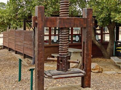 A vintage wooden olive press with a large screw mechanism stands outdoors on a stone base, with trees and a wooden building in the background.