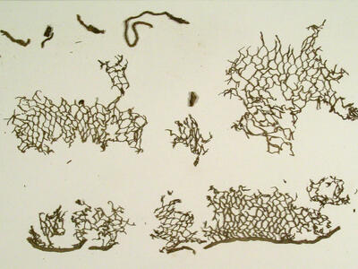 Loose, irregular pieces of brown netting, some attached to pieces of brown ribbon, and some loose pieces of ribbon.