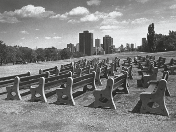 Photograph depicting rows of empty benches in a park with a cityscape in the background. 