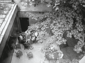 Aerial photograph of courtyard with large tree featuring people seated at tables socializing. 