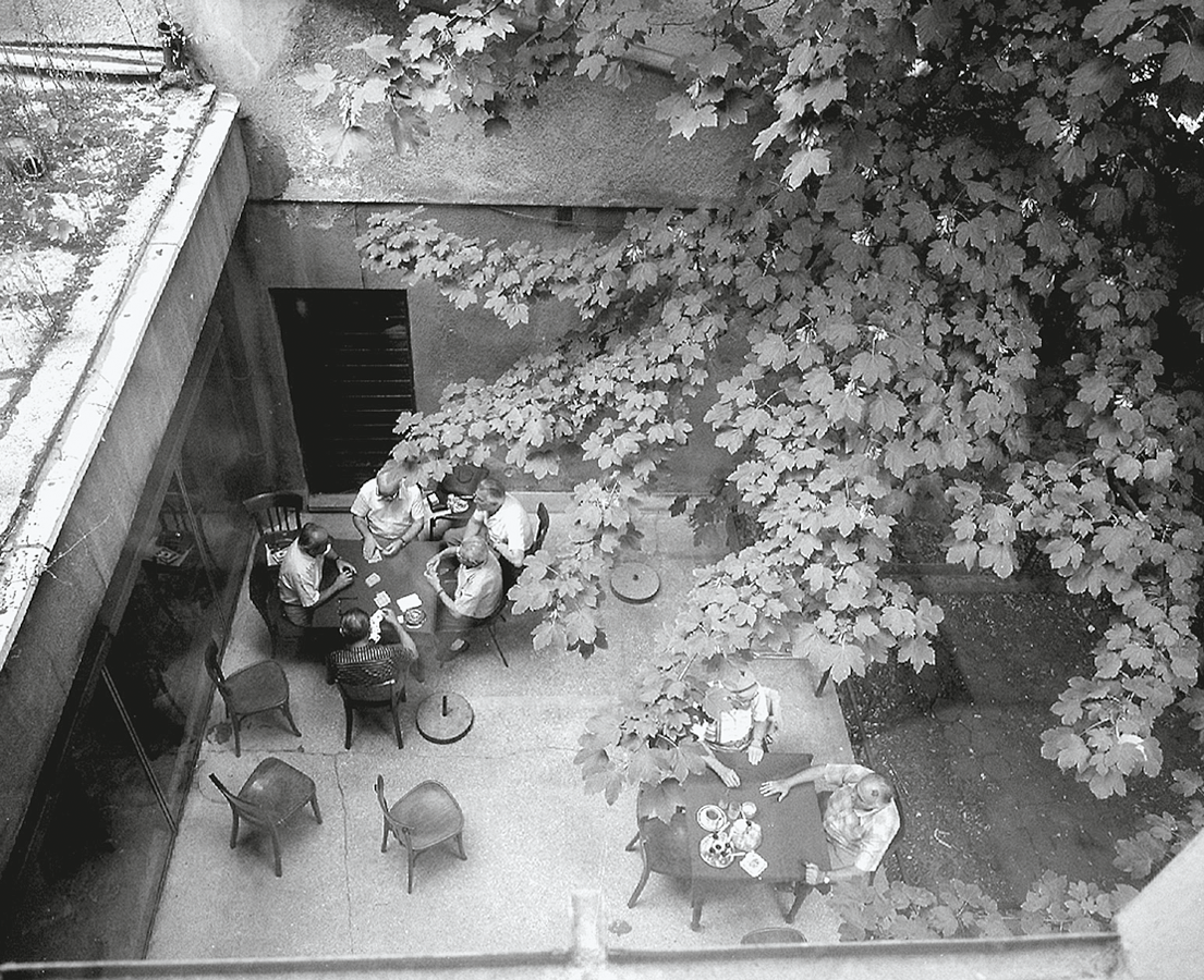Aerial photograph of courtyard with large tree featuring people seated at tables socializing. 