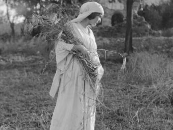 Photograph of woman wearing white head scarf holding a bouquet and gazing downward in a field.