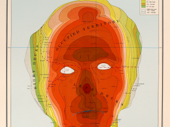 Heat map in the shape of a human face. 