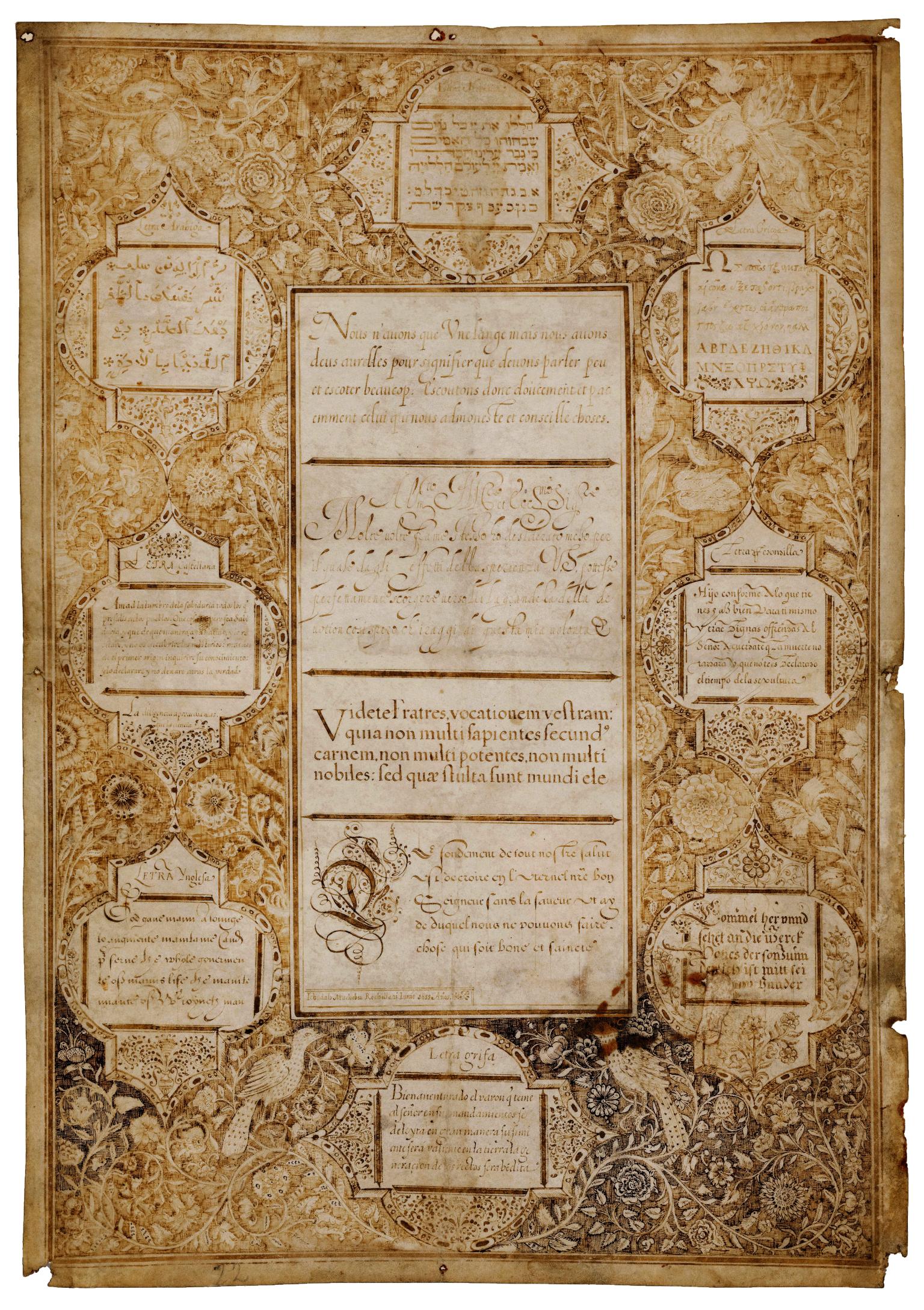 Decorative page of birds, flowers, and rectangular sections of different scripts. 