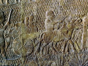 Wall relief depicting profile view of barefoot captives walking with camels, bulls, and wagons.