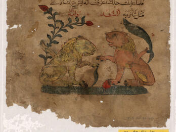Damaged manuscript page with Arabic text above an illustration of two lions seated among flora, facing and gesturing toward each other.