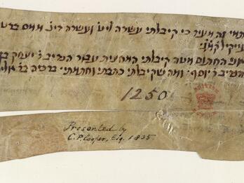 Fragment of parchment with four lines of vowelless Hebrew script, followed by the number 1250 and a red stamp and presentation credit in English, partly separated by a split across the paper.