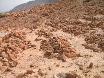 Scattered piles and circles of stones arranged on a dry, rocky desert landscape with distant mountains and sparse vegetation under a hazy sky.