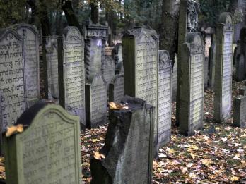 Gravestones in rows.