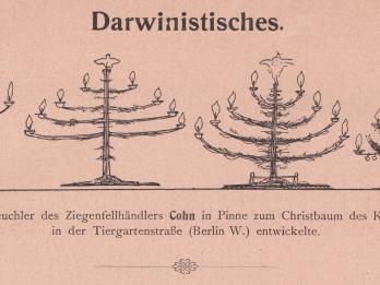 Four images of trees resembling candelabra and then a fir tree, with German text above and below.