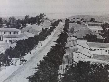 Photograph of street lined with trees and houses.