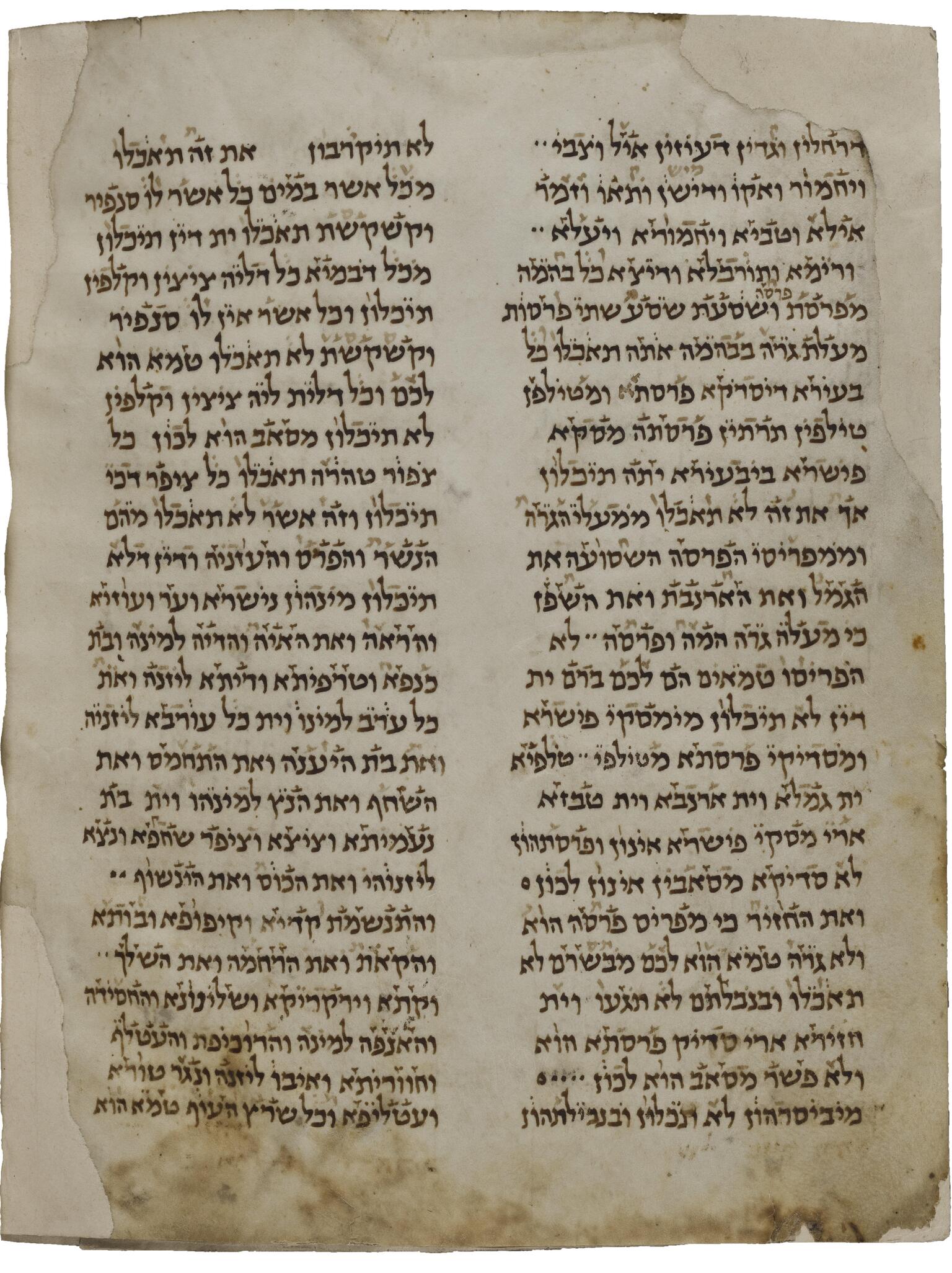 Worn page with two columns of writing in Hebrew script.