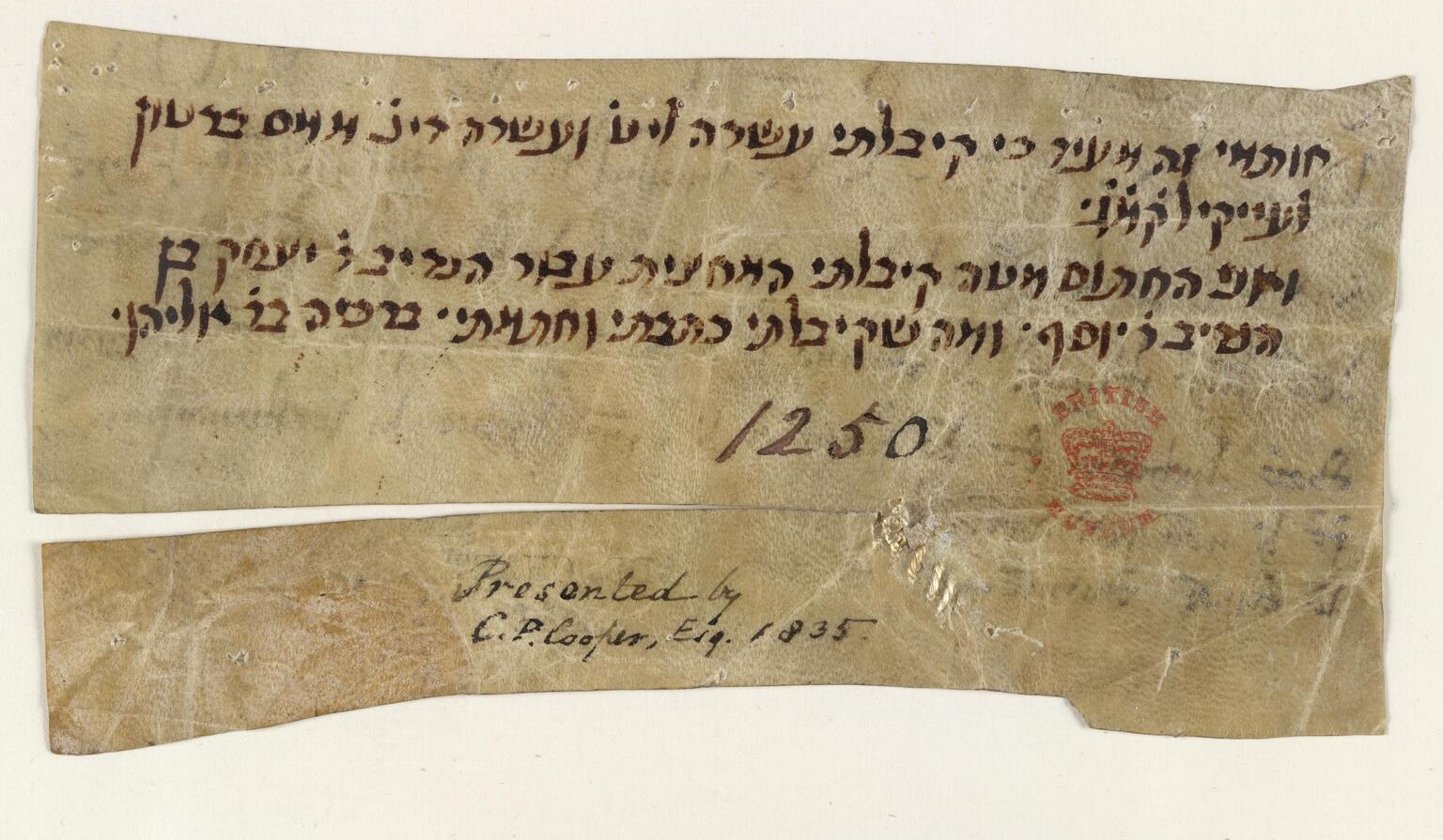 Fragment of parchment with four lines of vowelless Hebrew script, followed by the number 1250 and a red stamp and presentation credit in English, partly separated by a split across the paper.