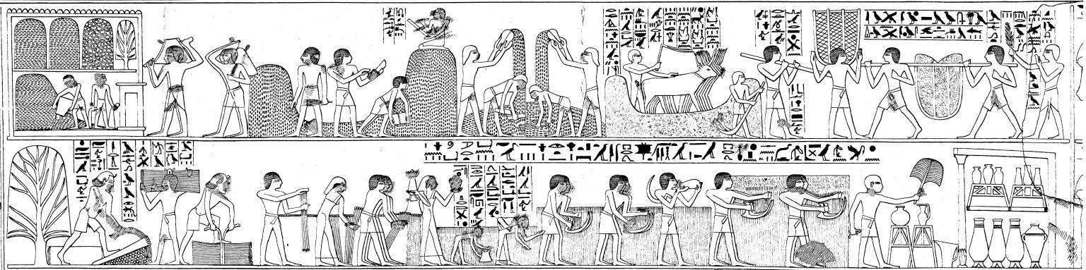 Drawing of relief of people working in the fields with hieroglyphic writing on top and around figures. 