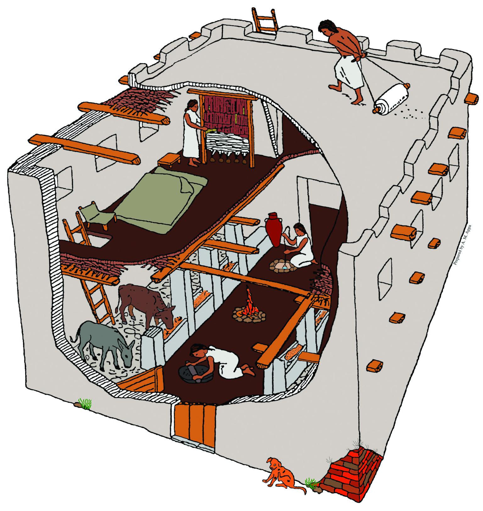 Cut-away drawing of house interior with two stories consisting of an upper bedroom, and animal stalls and cooking areas on bottom floor.