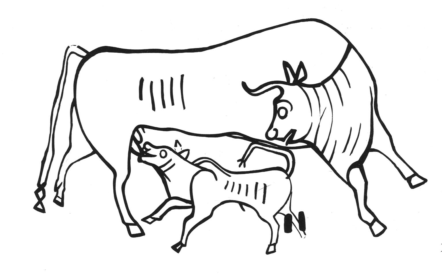Drawing of cow and nursing calf.