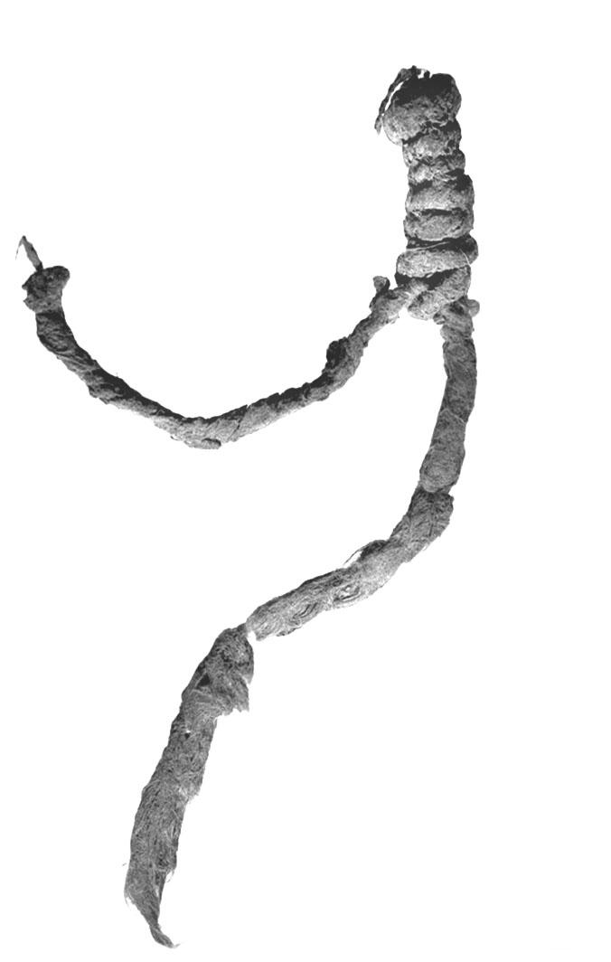 Photograph of knotted linen fringe.