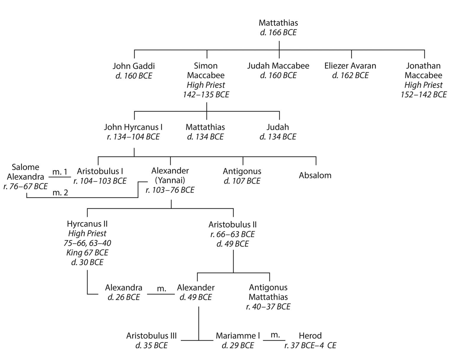 Names of many members of the Hasmonean family with vertical and horizonal lines connecting them. Each person has their lifespan under their name.