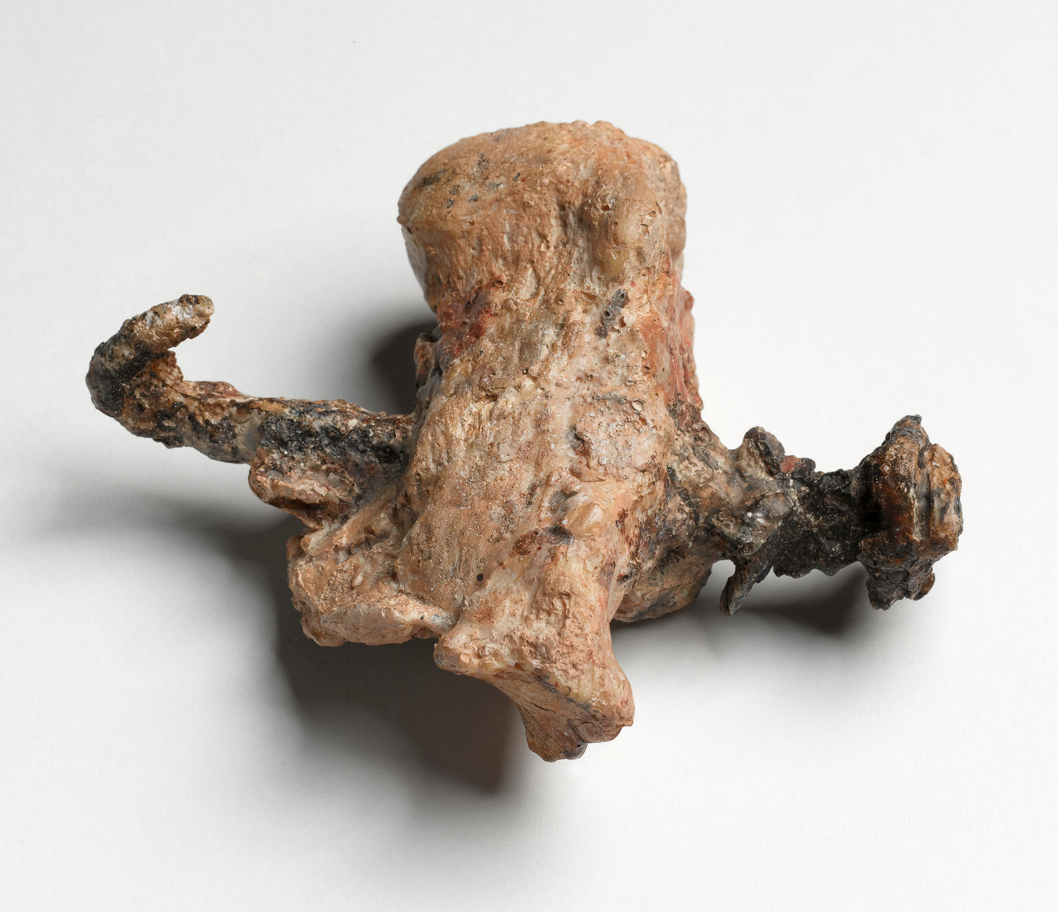 A weathered bone fragment with a twisted, corroded iron nail piercing it.