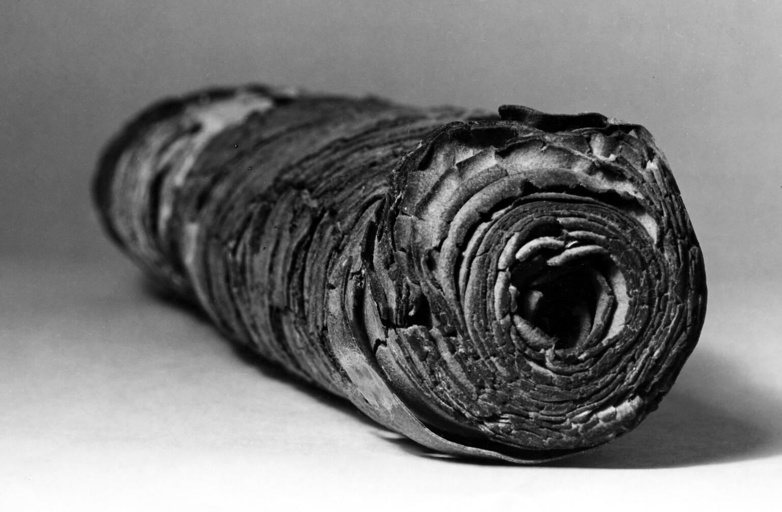 A black and white photo of an ancient, rolled-up scroll with layers of worn, textured material visible, resting on a plain surface.