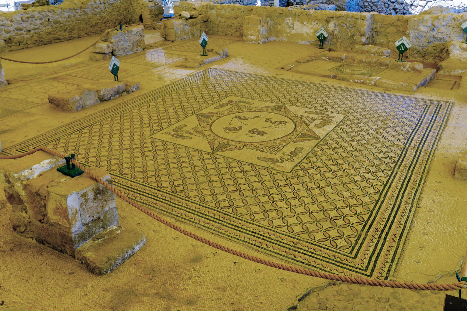 Ancient mosaic floor with birds and geometric designs, surrounded by stone ruins and ropes marking the area.