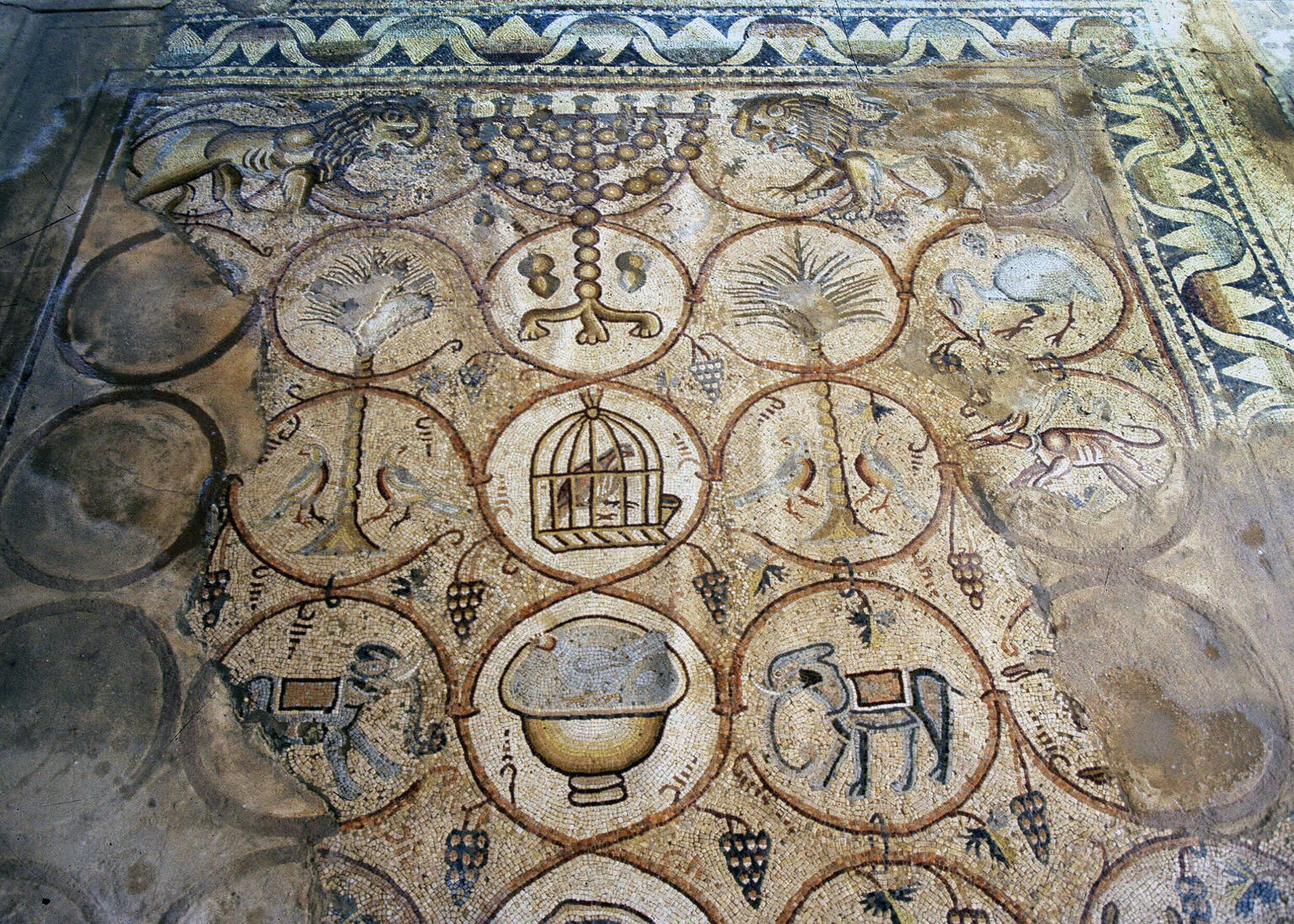 Ancient mosaic featuring interlocking circles with animals, trees, a caged bird, grapes, and geometric patterns, bordered by a zigzag design and two lions facing each other, flanking a menorah, at the top.