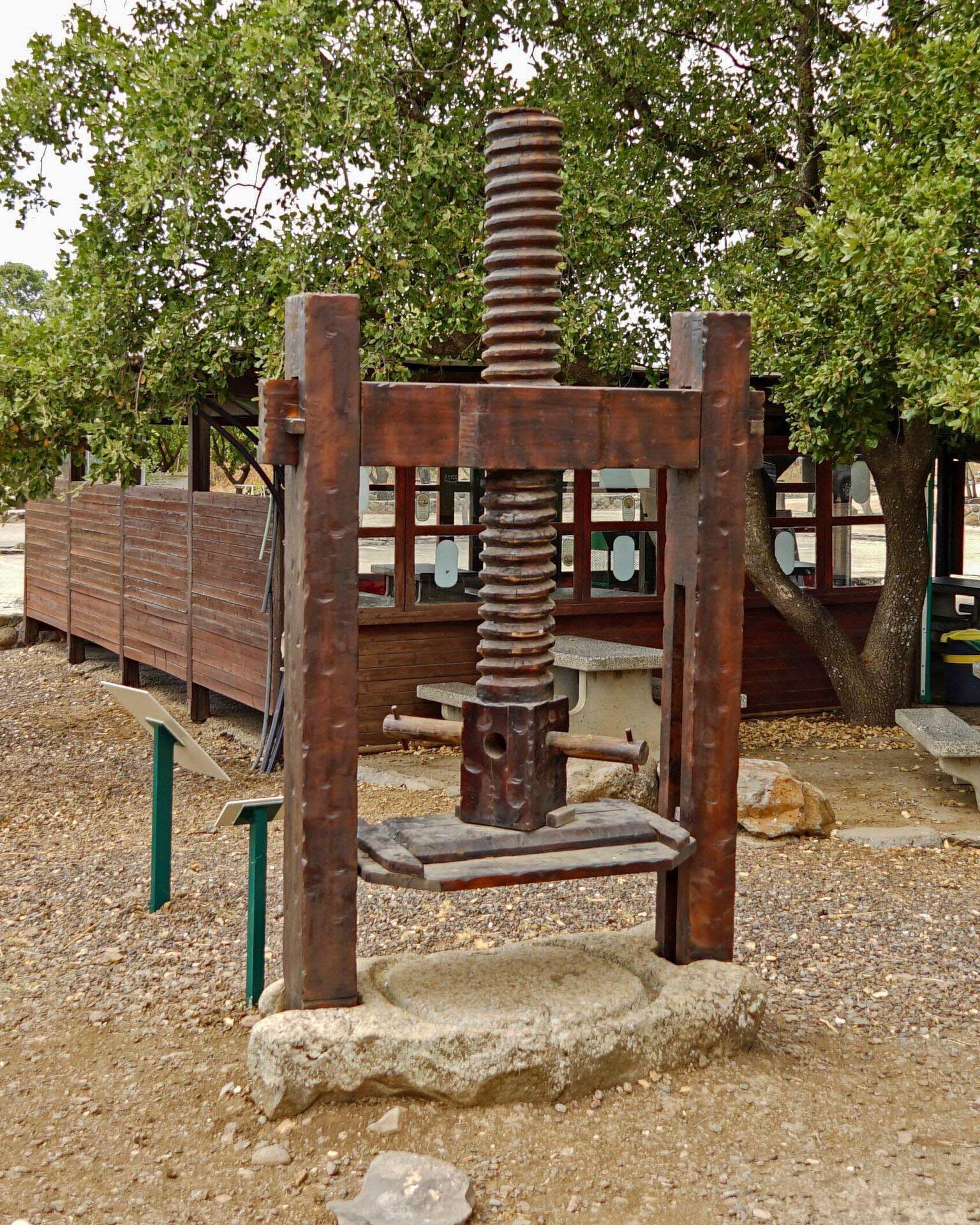 A vintage wooden olive press with a large screw mechanism stands outdoors on a stone base, with trees and a wooden building in the background.