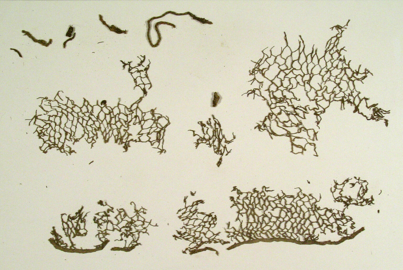 Loose, irregular pieces of brown netting, some attached to pieces of brown ribbon, and some loose pieces of ribbon.