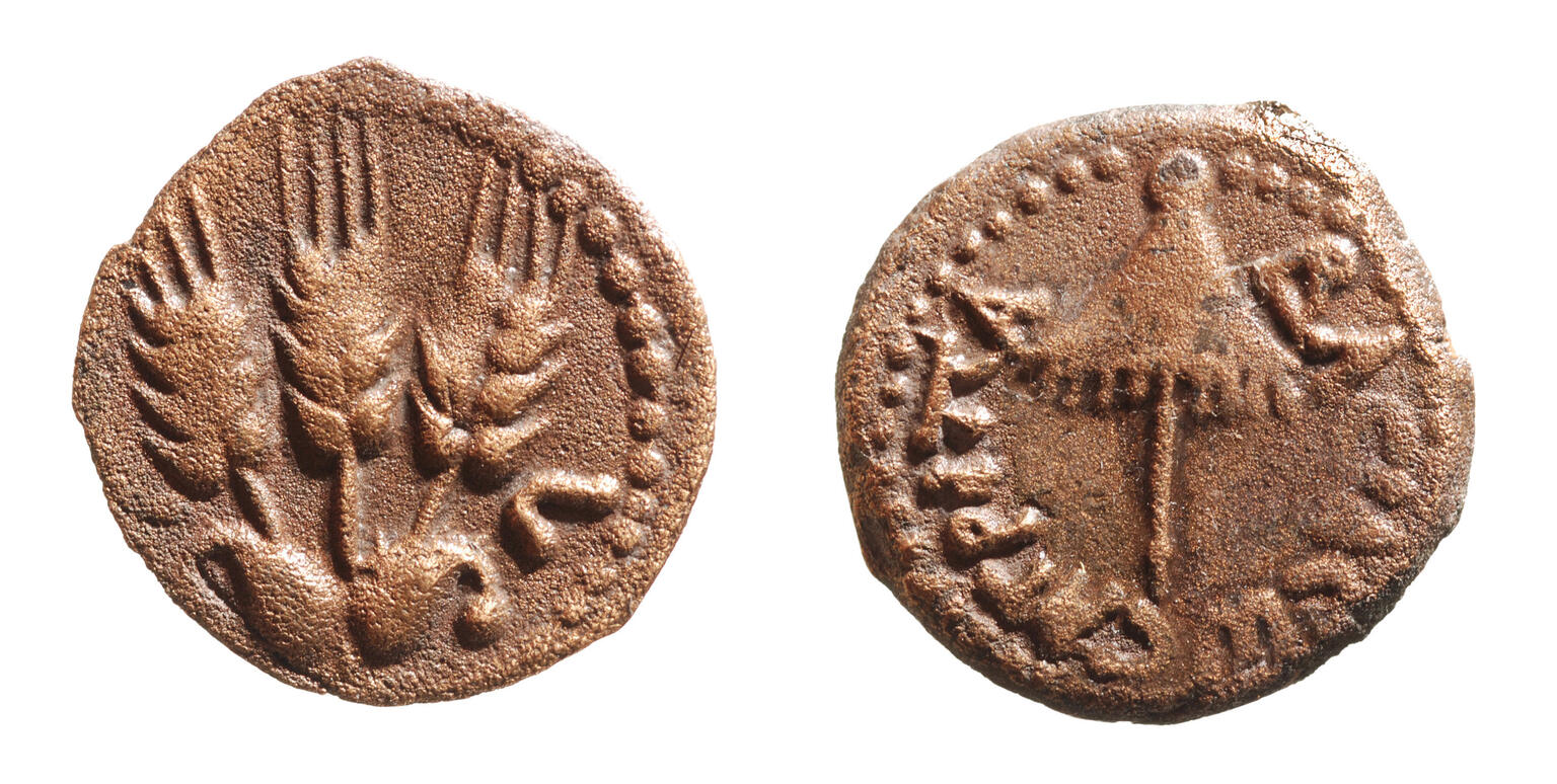 Two sides of an ancient coin: one with a canopy surrounded by a Greek inscription, and the other with three ears of grain. Both sides are bordered by a dotted pattern.