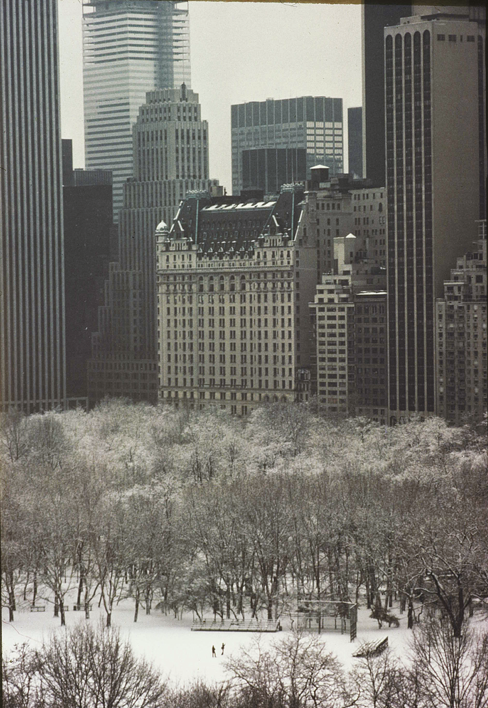 Photograph of snowy plaza surrounded by trees with skyscrapers in the background. 