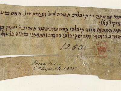 Fragment of parchment with four lines of vowelless Hebrew script, followed by the number 1250 and a red stamp and presentation credit in English, partly separated by a split across the paper.