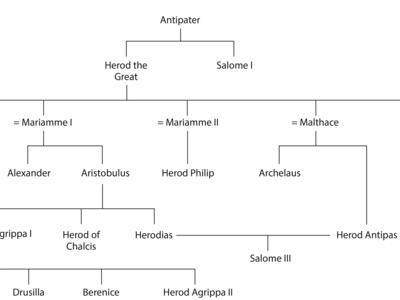 Names of many members of the Herodian family with vertical and horizonal lines connecting them.