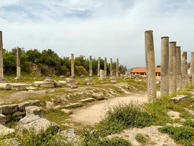 Ruins of an ancient structure with several tall stone columns surrounded by grassy ground and scattered stone blocks, with trees and a building in the background.