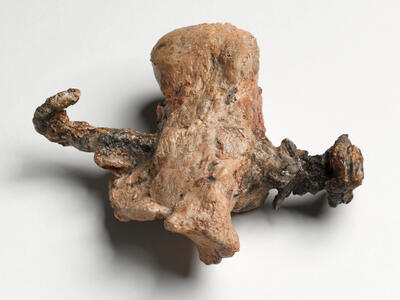 A weathered bone fragment with a twisted, corroded iron nail piercing it.