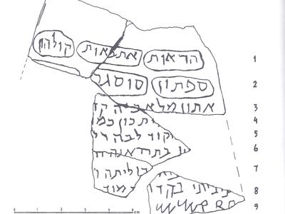 A black-and-white line drawing of a fragmented ancient inscription in a Semitic script. Sections of the broken inscription contain outlined areas with legible characters. The lines are numbered 1 to 9 on the right of the drawing, and there is a centimeter scale at the bottom.