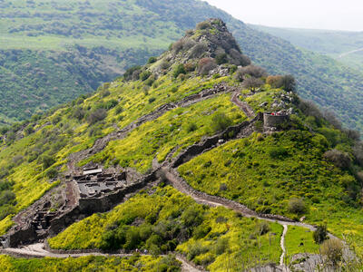 Ruins of an ancient stone fortress with winding walls built along a lush, green hillside.