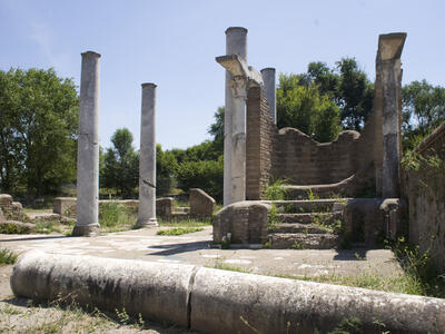 Ancient stone ruins with several standing columns, one fallen column in the foreground, and partially preserved walls and steps, surrounded by grass and trees.